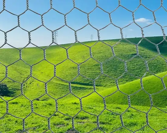 Airport fences